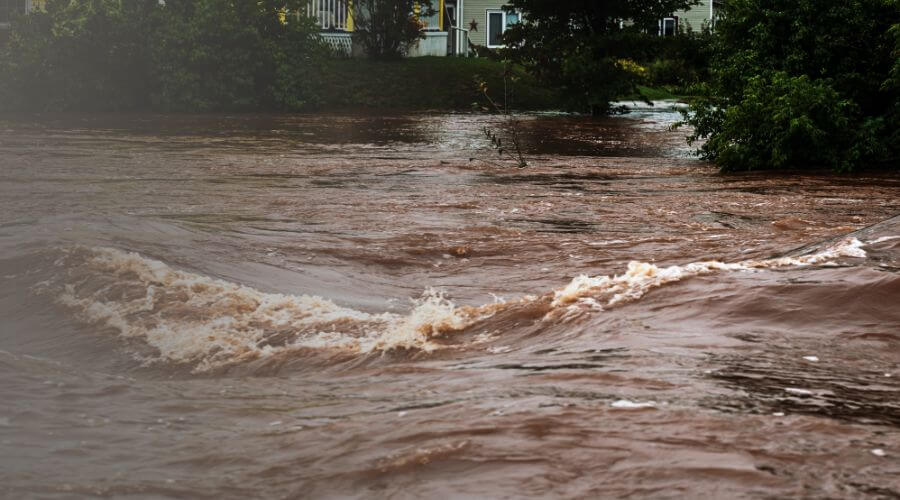 Why choose water damage restoration service for commercial flood cleanup in Cary